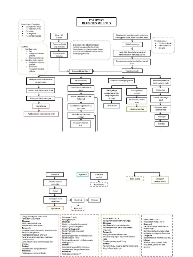 Woc DM | PDF