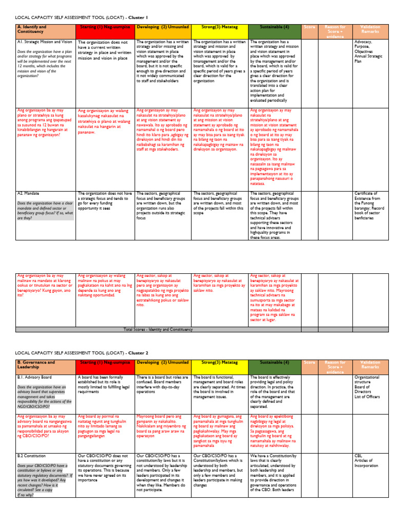 Local Capacity Self Assessment Tool | PDF | Business
