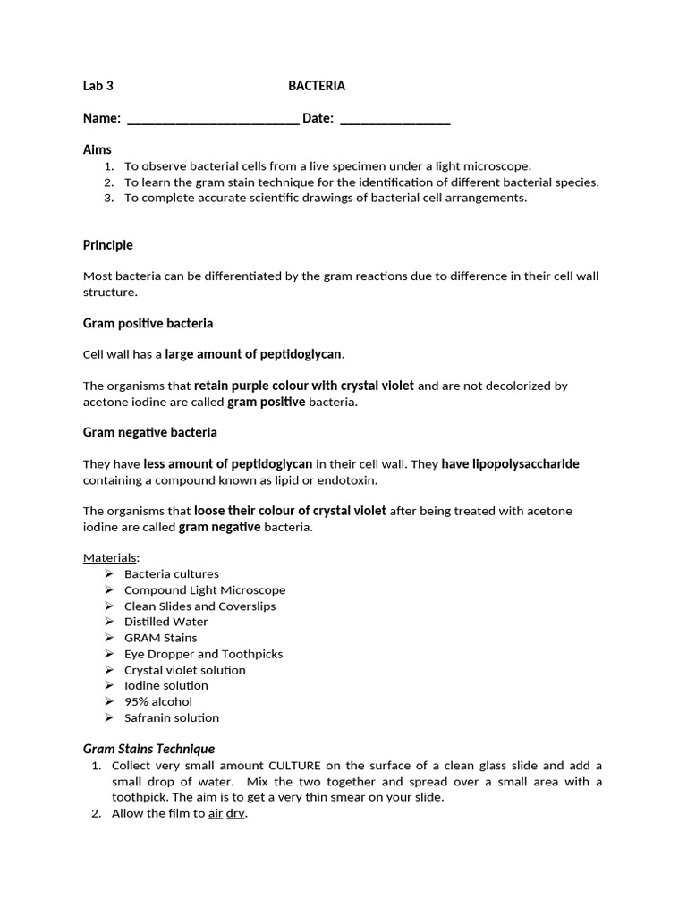 Lab - 2 GRAM STAIN - Elearing | PDF | Staining | Microscopy