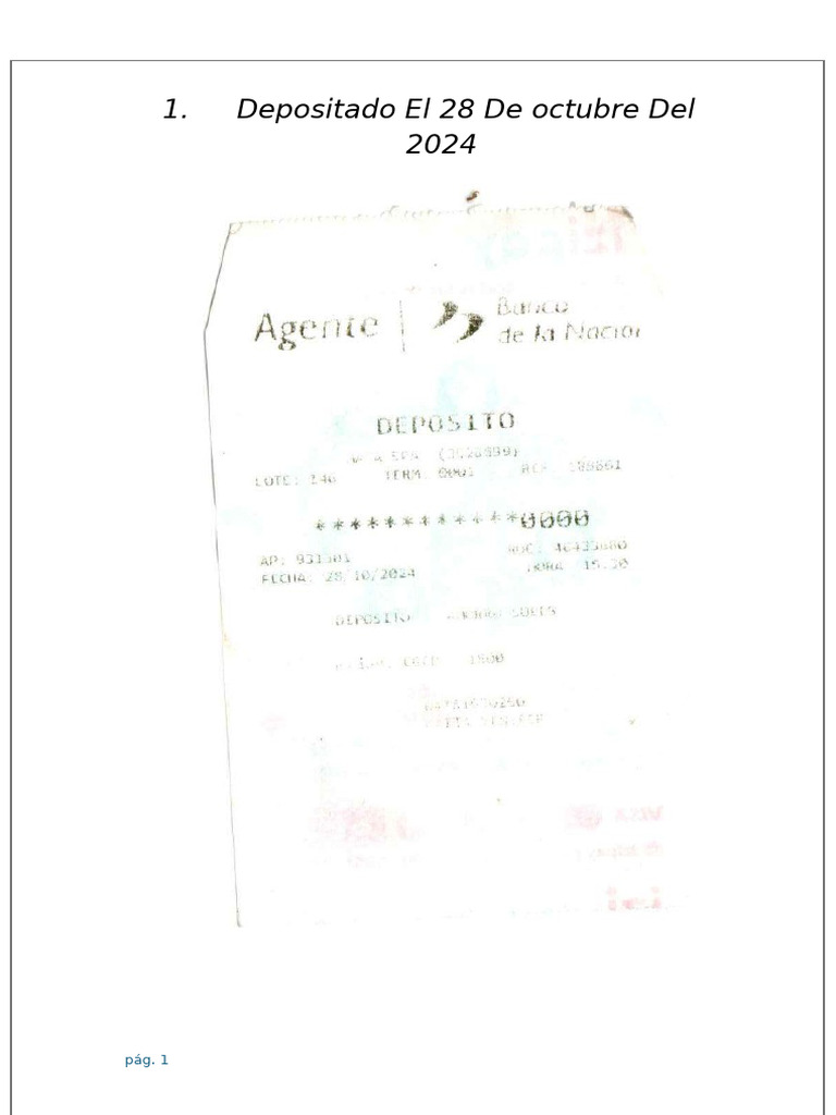Depositado El 28 de Octubre Del 2024 | PDF