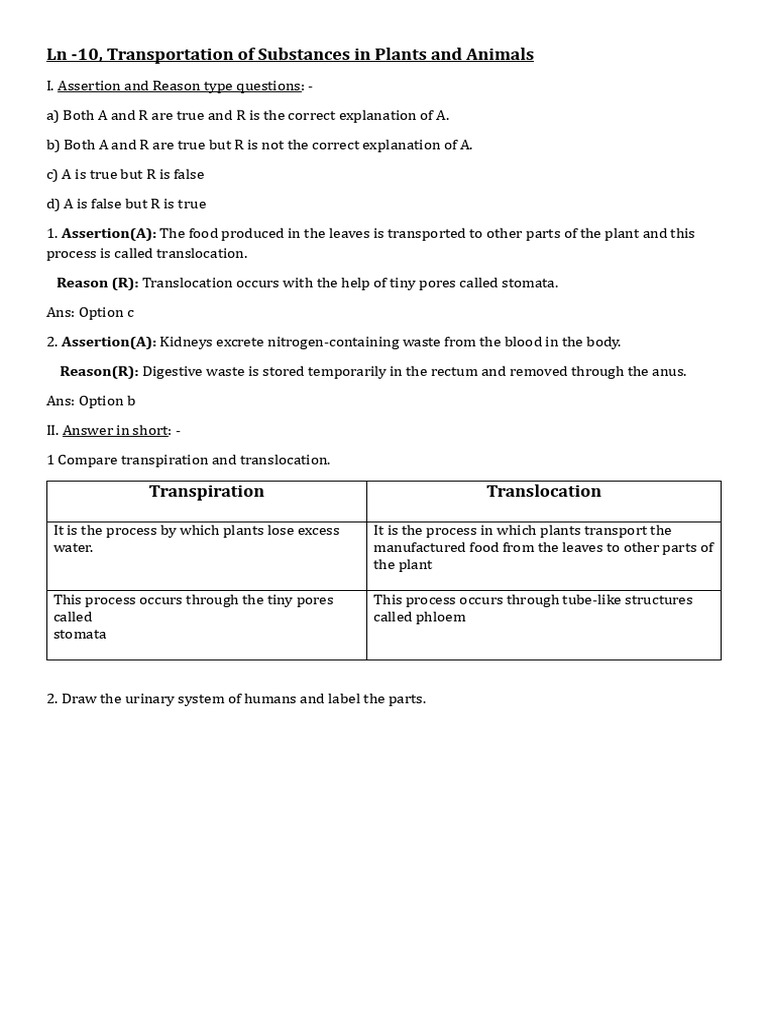 Class Work Notes1767068845167 | PDF | Flowers | Petal