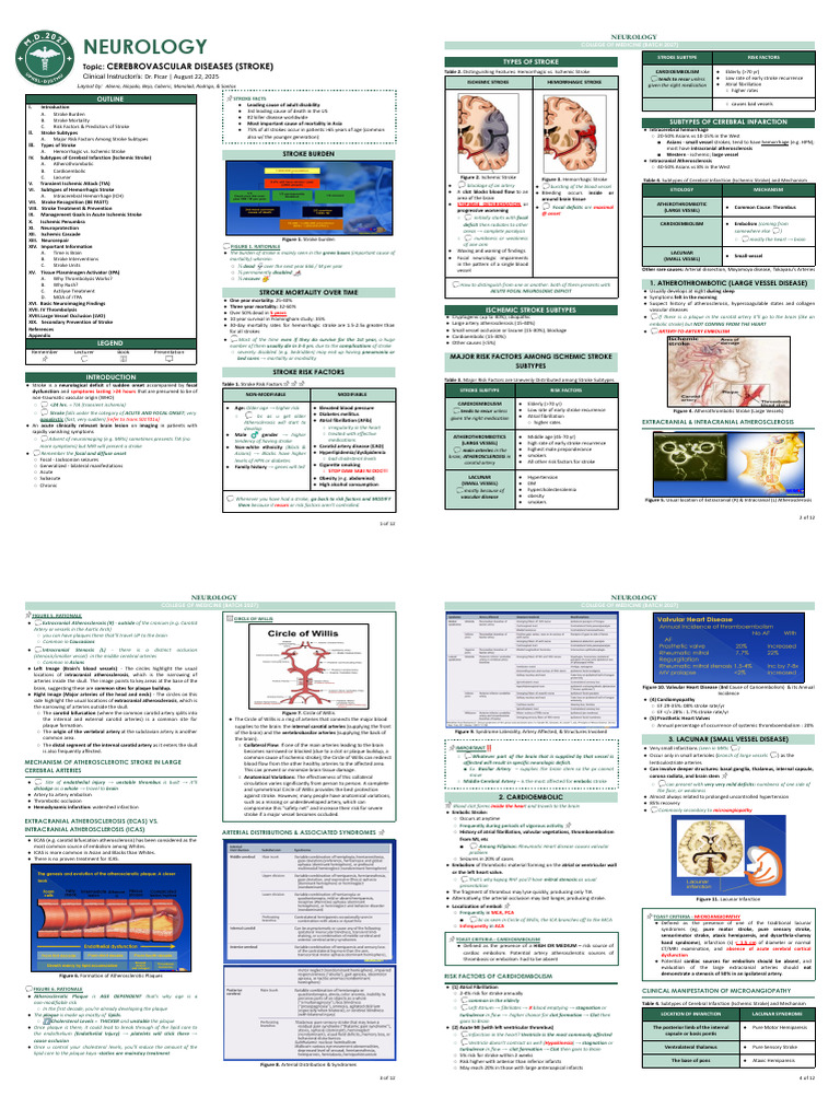 Types and Risk Factors of Stroke | PDF | Stroke | Ischemia