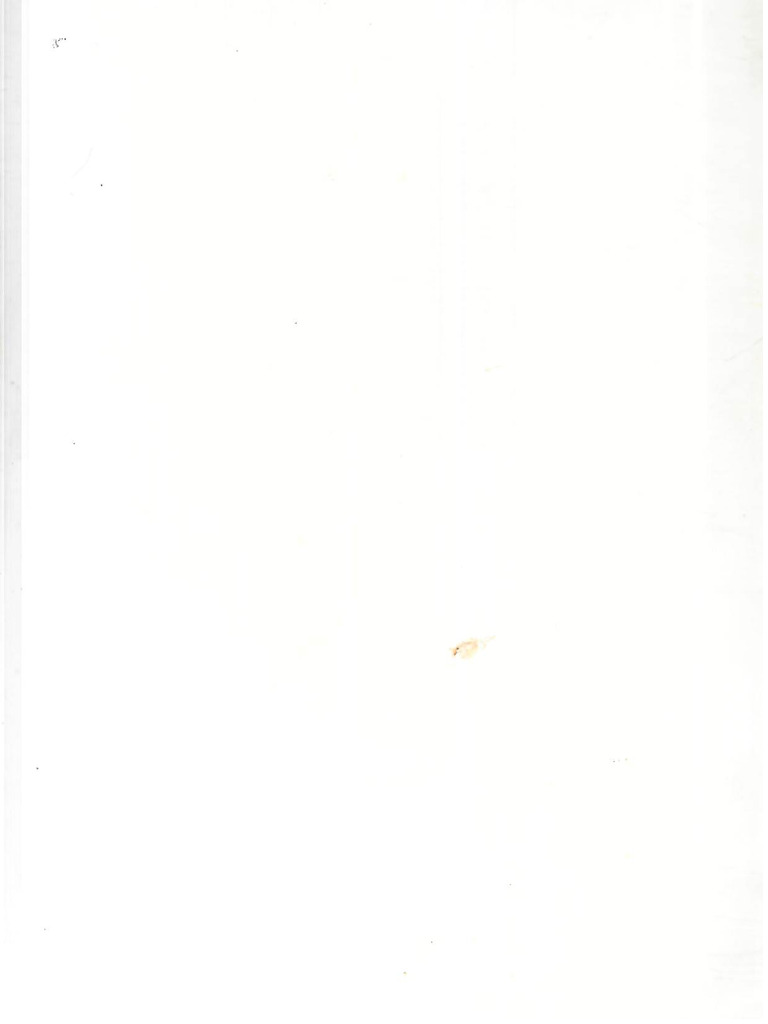 Scan | PDF
