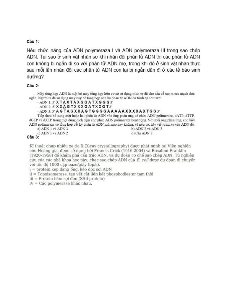Dna | PDF
