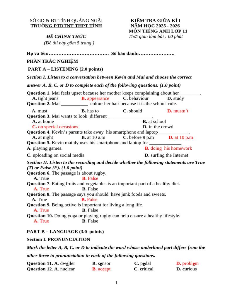 English Test for Grade 11 Quang Ngai | PDF