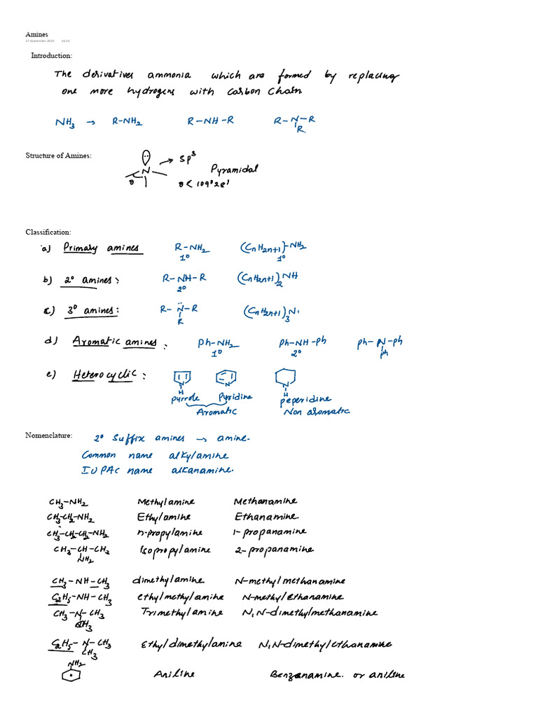 Amines Class Notes | PDF