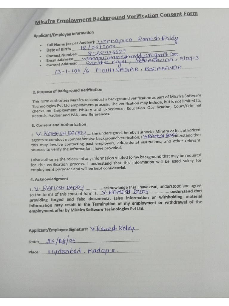 Background Verification | PDF