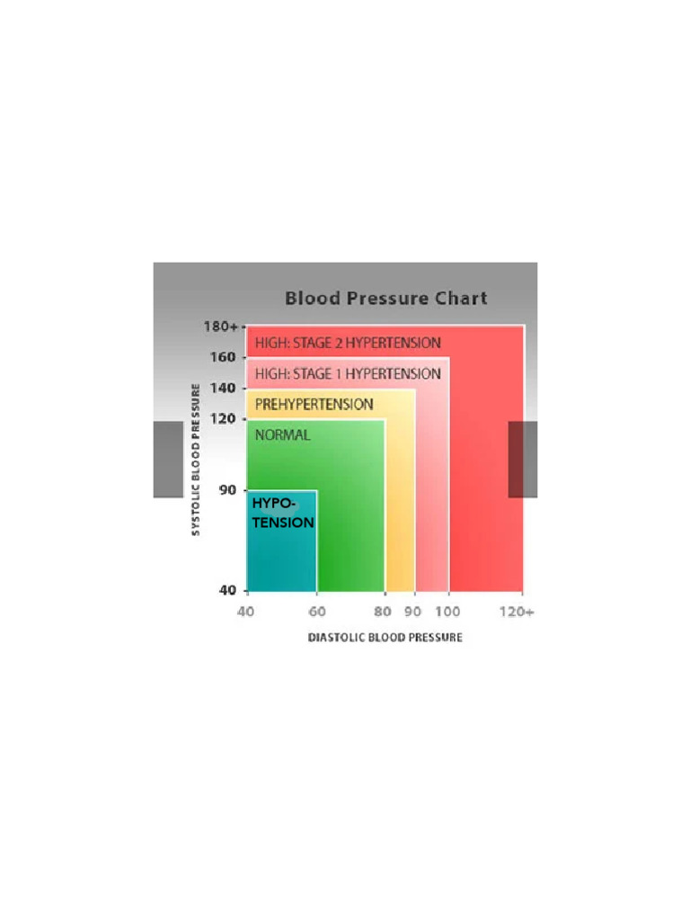 BP Baseline | PDF