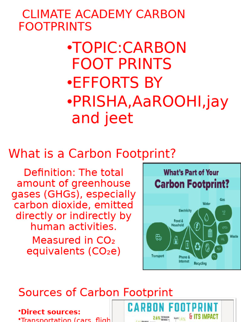 Understanding Carbon Footprints | PDF