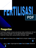 Download Fertilisasibymelanie87SN9739032 doc pdf