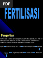 Download Fertilisasibymelanie87SN9739032 doc pdf