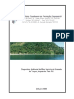 Diagnóstico Ambiental do Meio Marinho da Enseada do Tanguá - IFFE, 1999