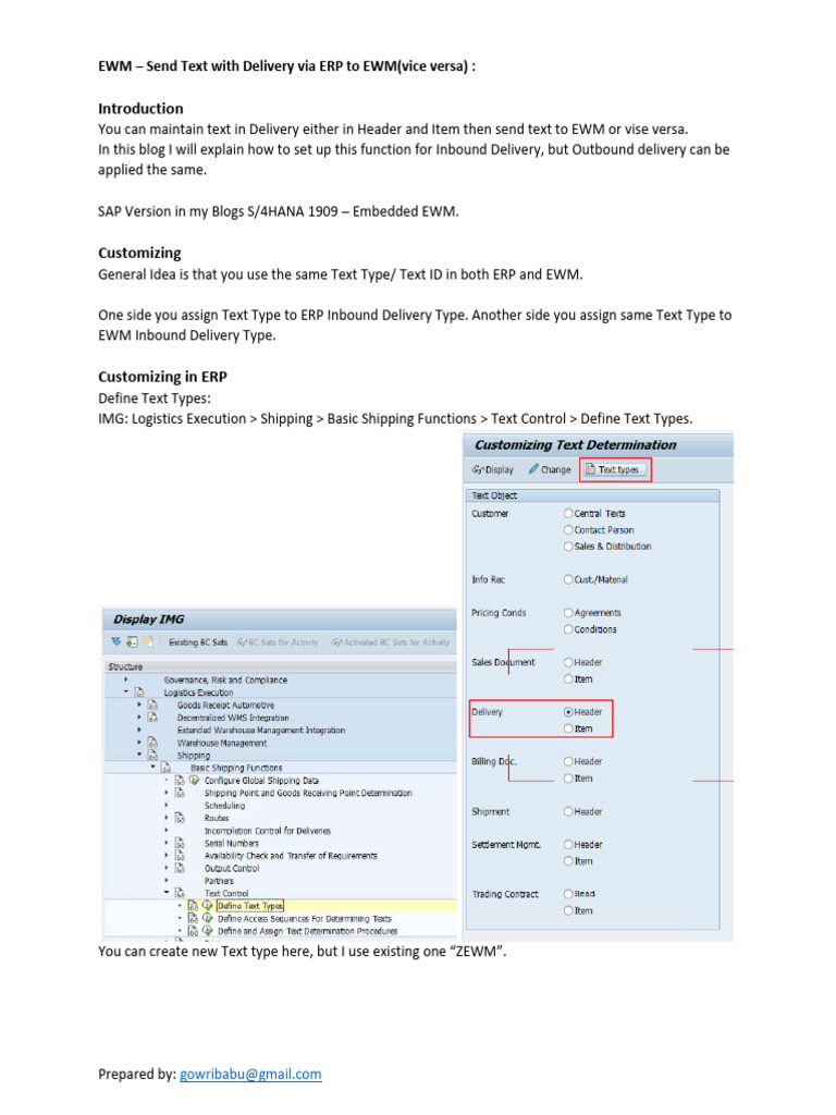 EWM - Send Text With Delivery Via ERP To EWM | PDF | Computing