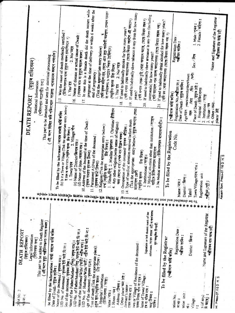 Death Report | PDF