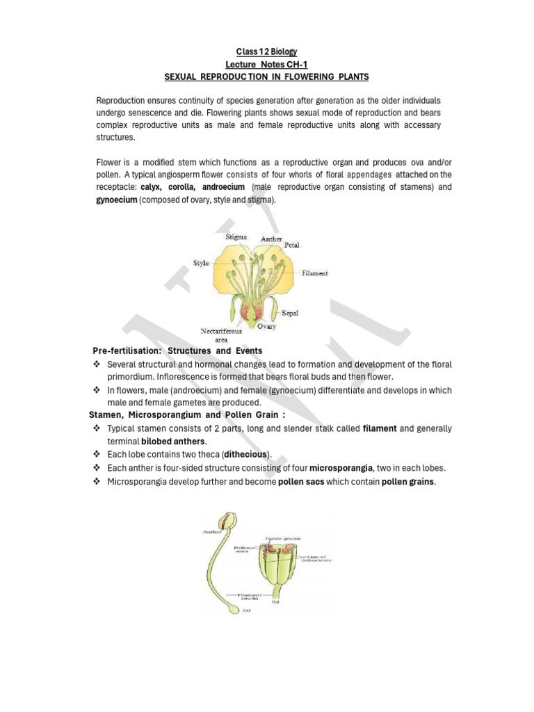 Sexual Reproduction in Flowering Plants | PDF | Flowers | Seed