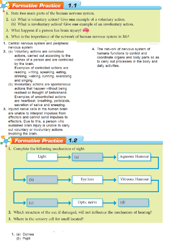Chapter 1 F3-Formative Practice | PDF