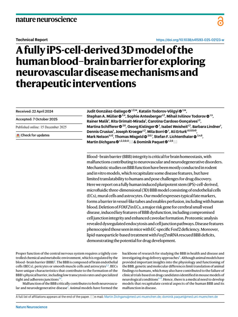 3D Human BBB Model for Disease Study | PDF | Cell Potency | Cellular ...