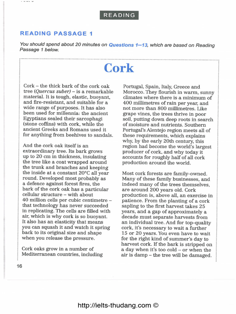 Cam 12 Reading | PDF