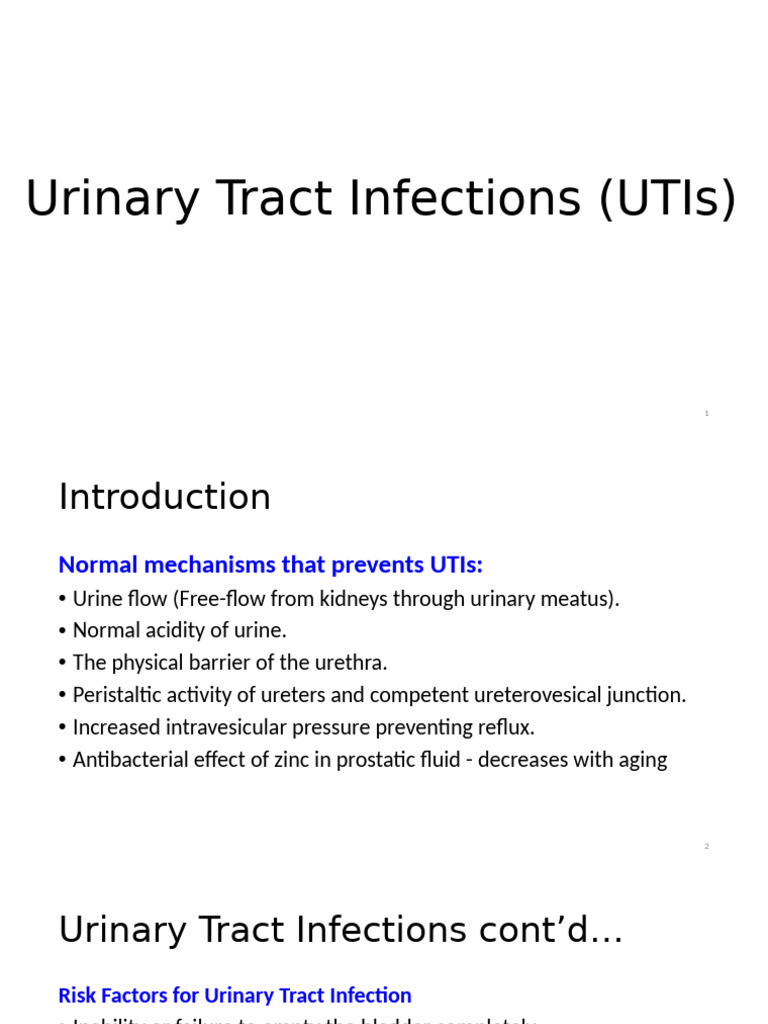 Understanding Urinary Tract Infections | PDF | Urinary Tract Infection ...