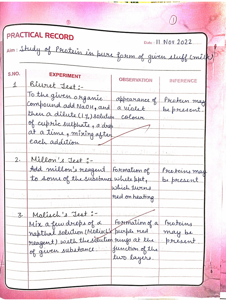 Analysis Practicals | PDF