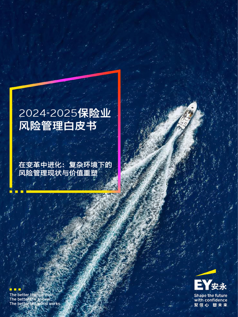 安永】2024 2025保险业风险管理白皮书| PDF