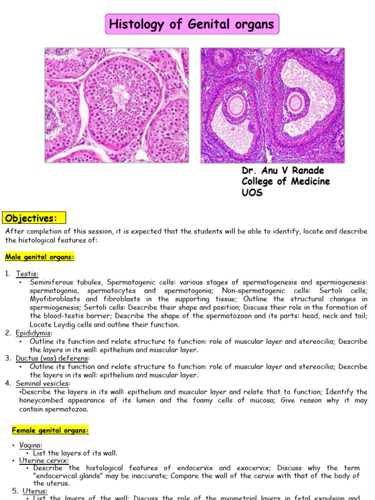 Histology of Male and Female Genital Organs | PDF | Ovary | Testicle