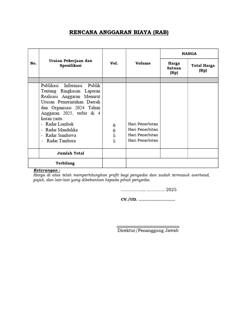 RAB Publikasi Anggaran 2025 | PDF