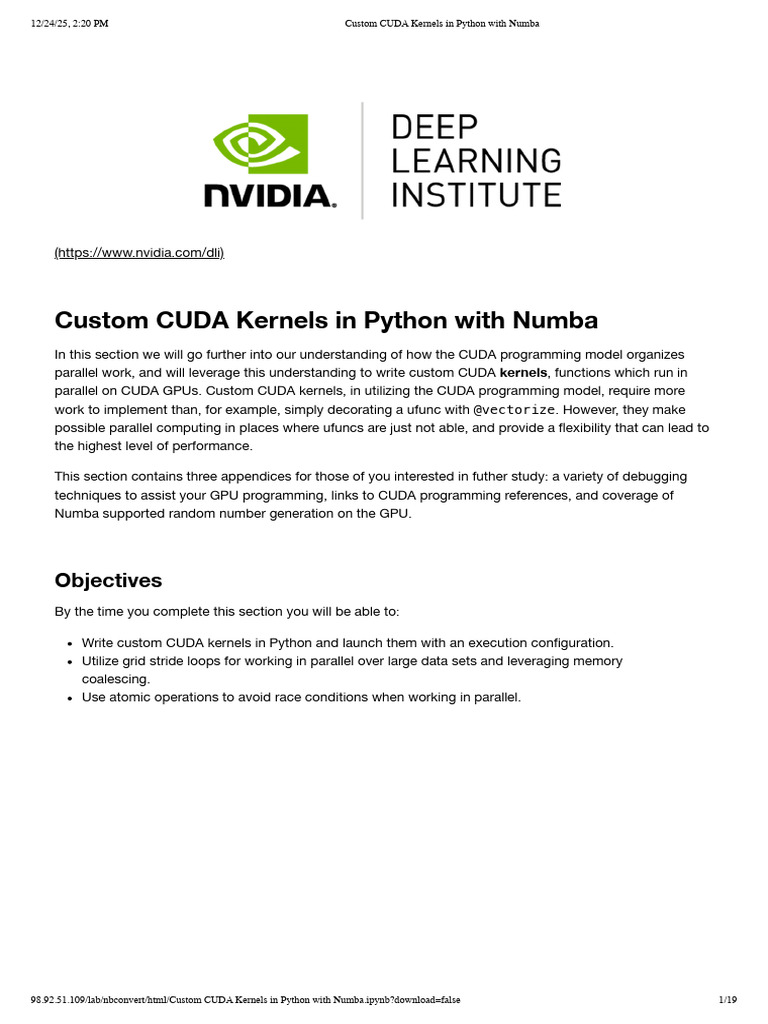 Custom CUDA Kernels with Numba in Python | PDF | Parallel Computing ...