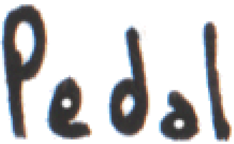 Pedal | PDF