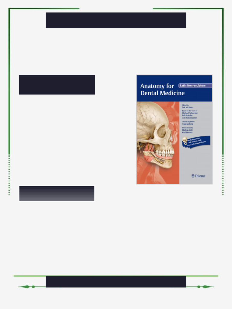 Thieme Anatomy for Dental Medicine 2nd edition by Michael Schuenke Eric ...