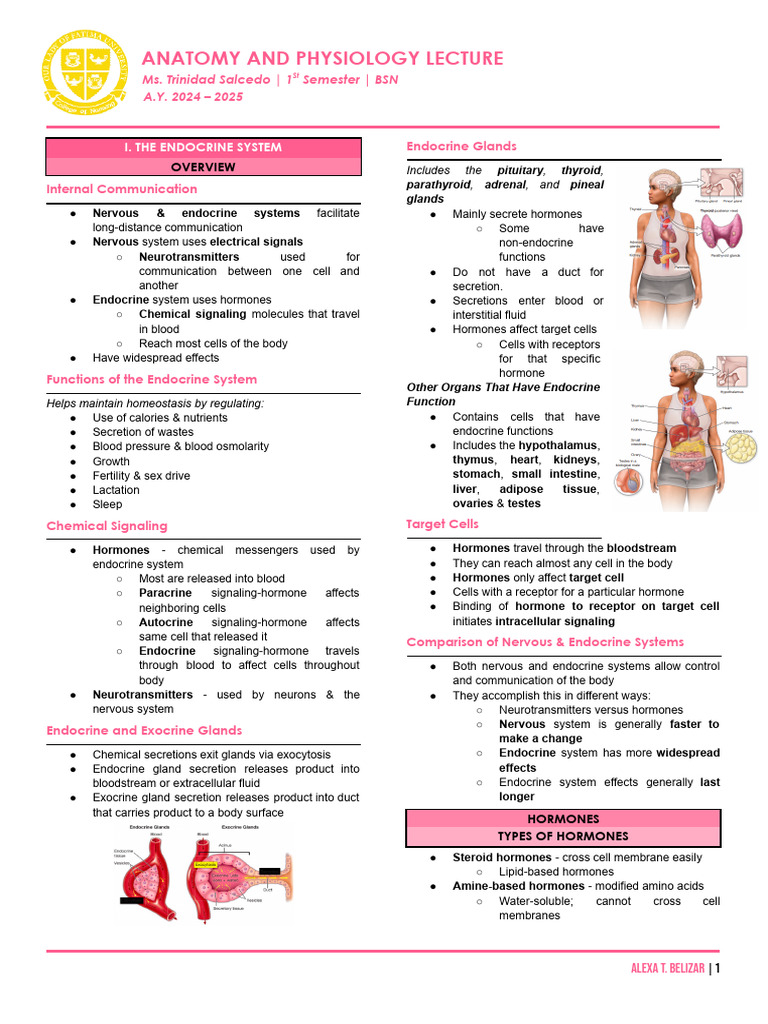 Endocrine System Overview and Functions | PDF | Hormone | Endocrine System