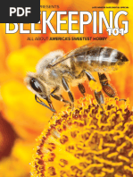 Red Hive Guide for BSS 2025 | PDF | Bees | Beehive