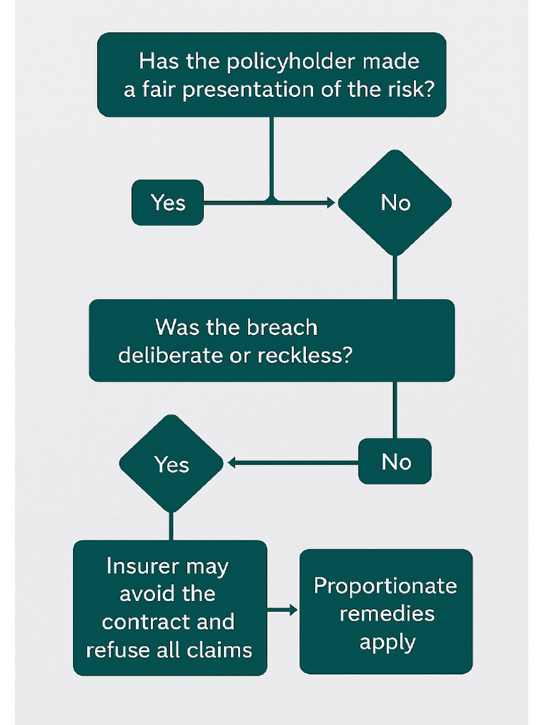Fair Representation of the Risk in Insurance Law | PDF