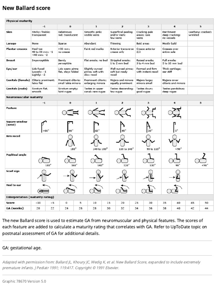 New Ballard Score for Gestational Age | PDF