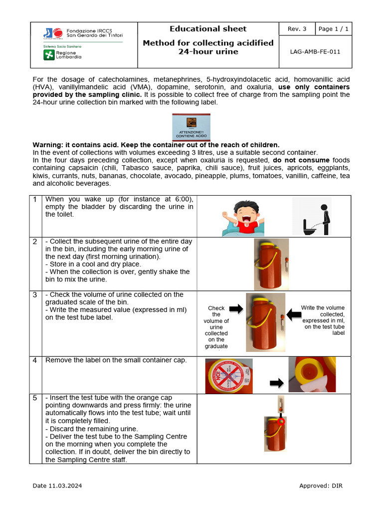 24-Hour Acidified Urine Collection Guide | PDF | Foods