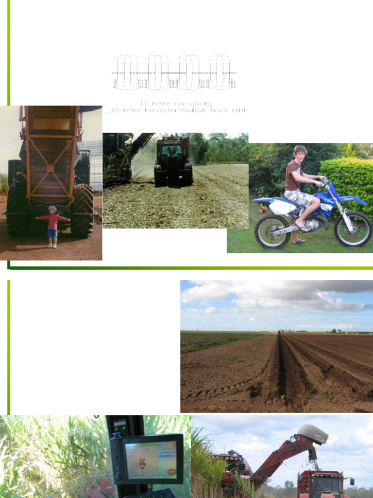 Trash_Separation_for_Co-generation | PDF | Sugarcane | Soil
