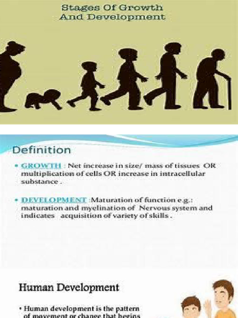 Life Span Development | PDF