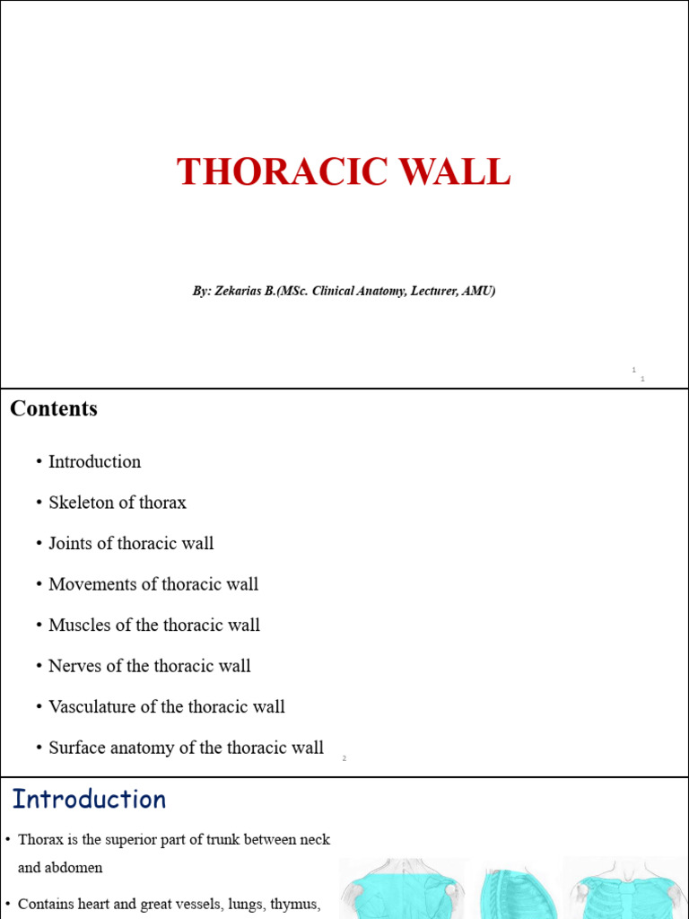 Thoracic Wall Anatomy Final Ppt for Pci @2017 (2) | PDF | Vertebra | Thorax