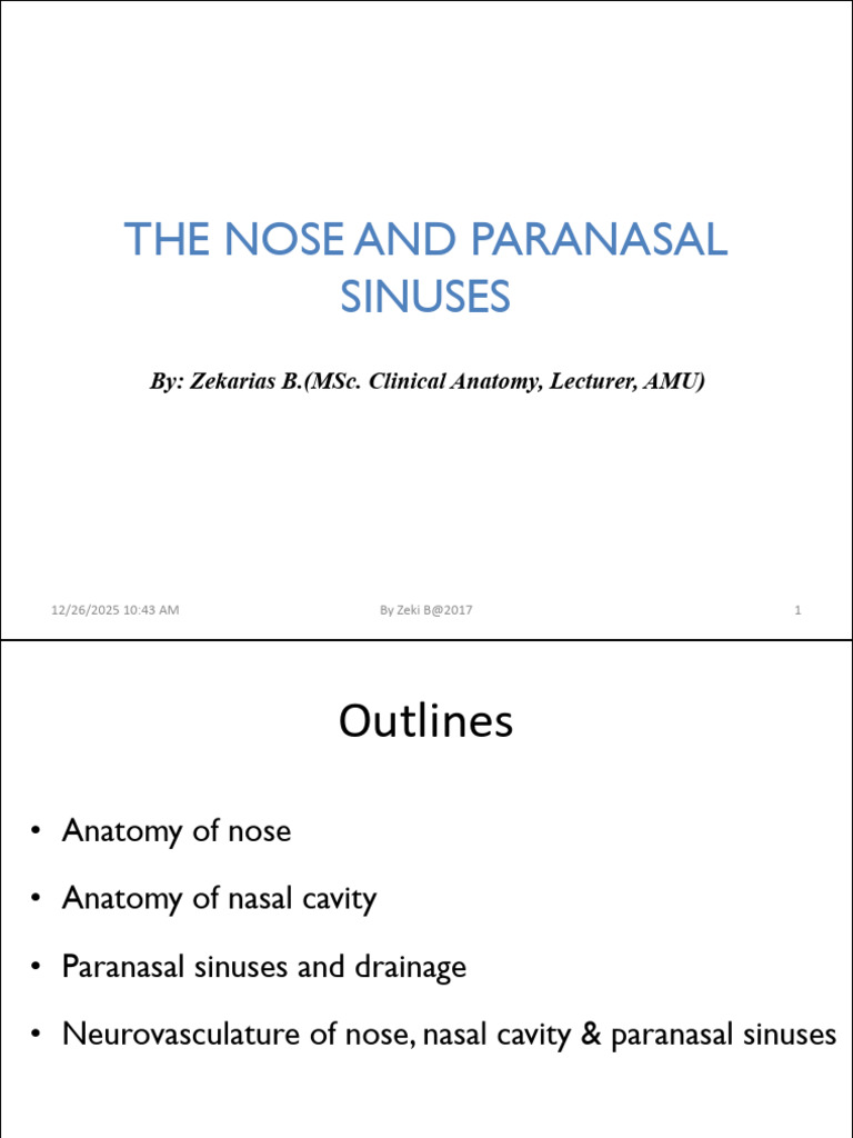 (Seniors) 2.the Nose and Paranasal Sinuses Final | PDF | Human Nose ...