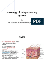 1st Lecture On The Histology of Skin by Dr. Roomi