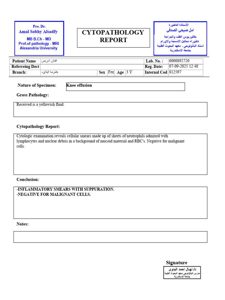 Knee Effusion Cytopathology Report | PDF