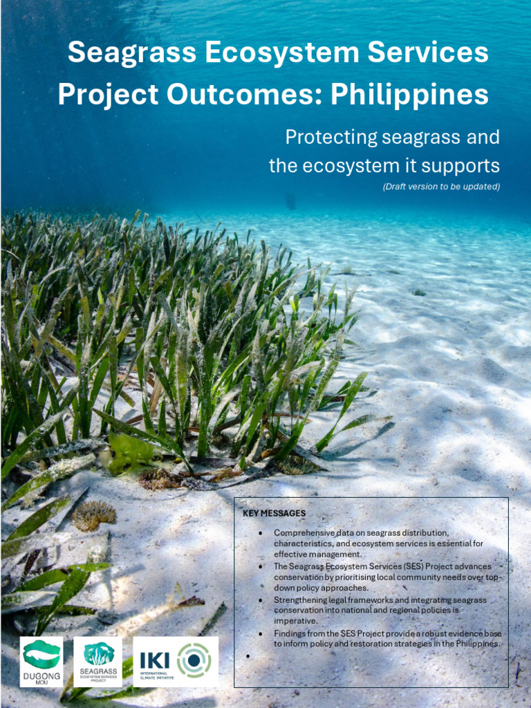 Seagrass Ecosystem Services in the Philippines | PDF | Conservation ...