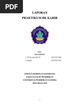 Laporan Bk Karir