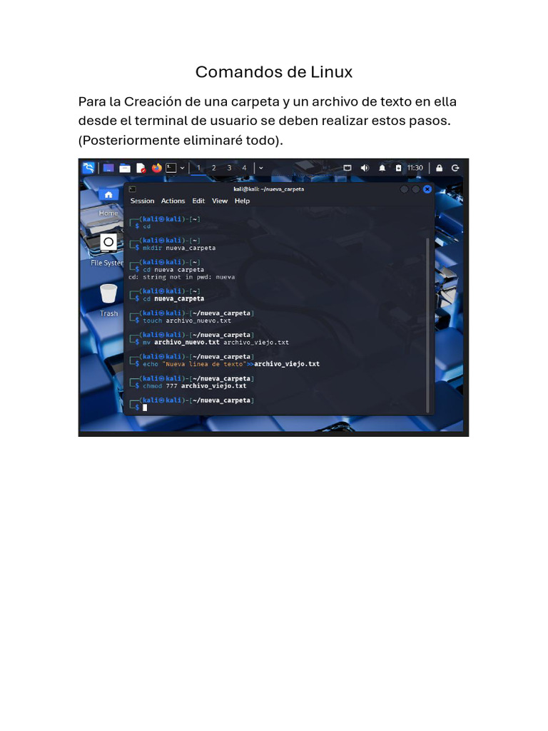 Crear carpetas y archivos en Linux | PDF