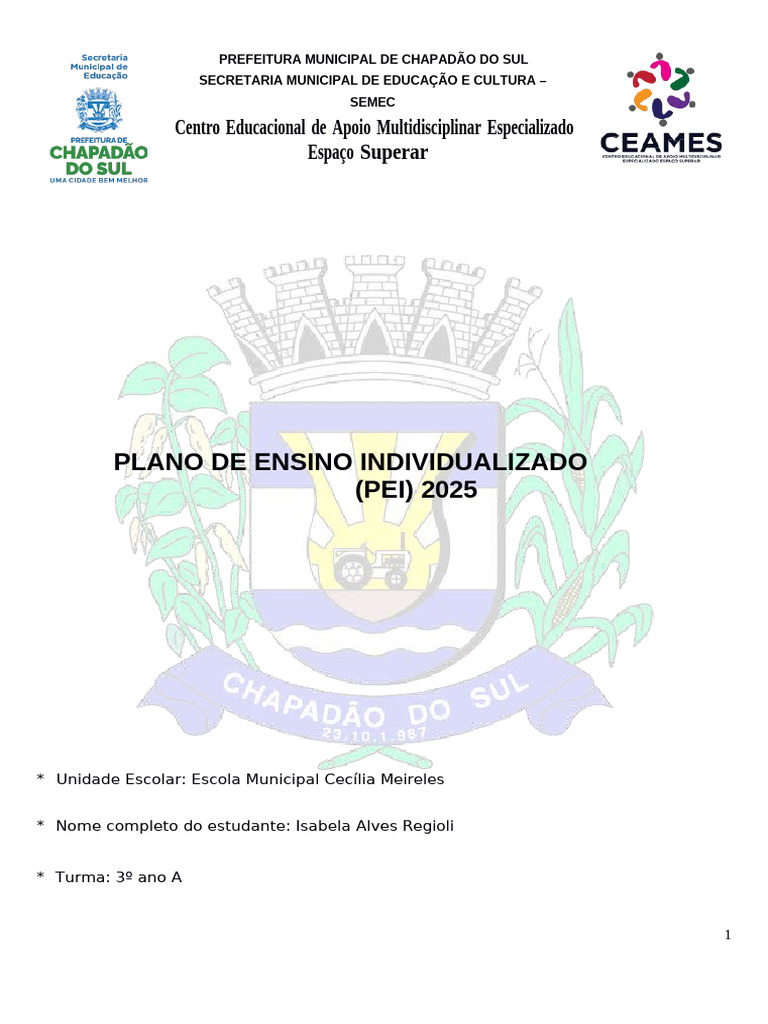 Plano de Ensino Individualizado 2025 | PDF | Pedagogia | Aprendizado