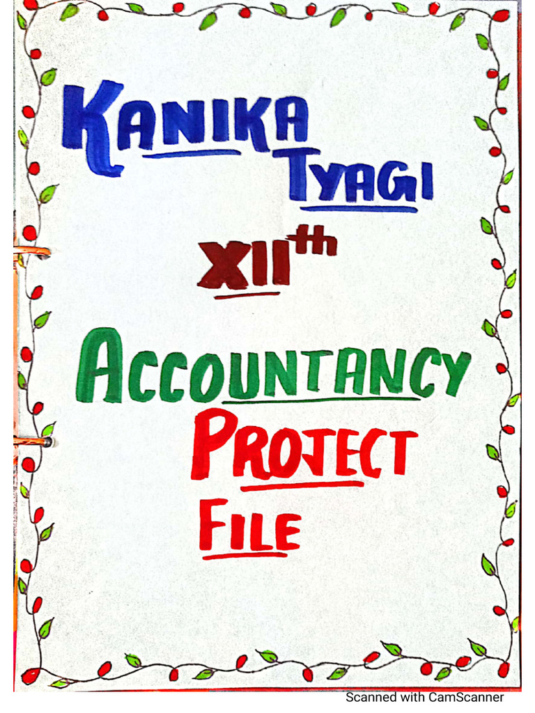 Ideal Accountancy Project 12th Class | PDF