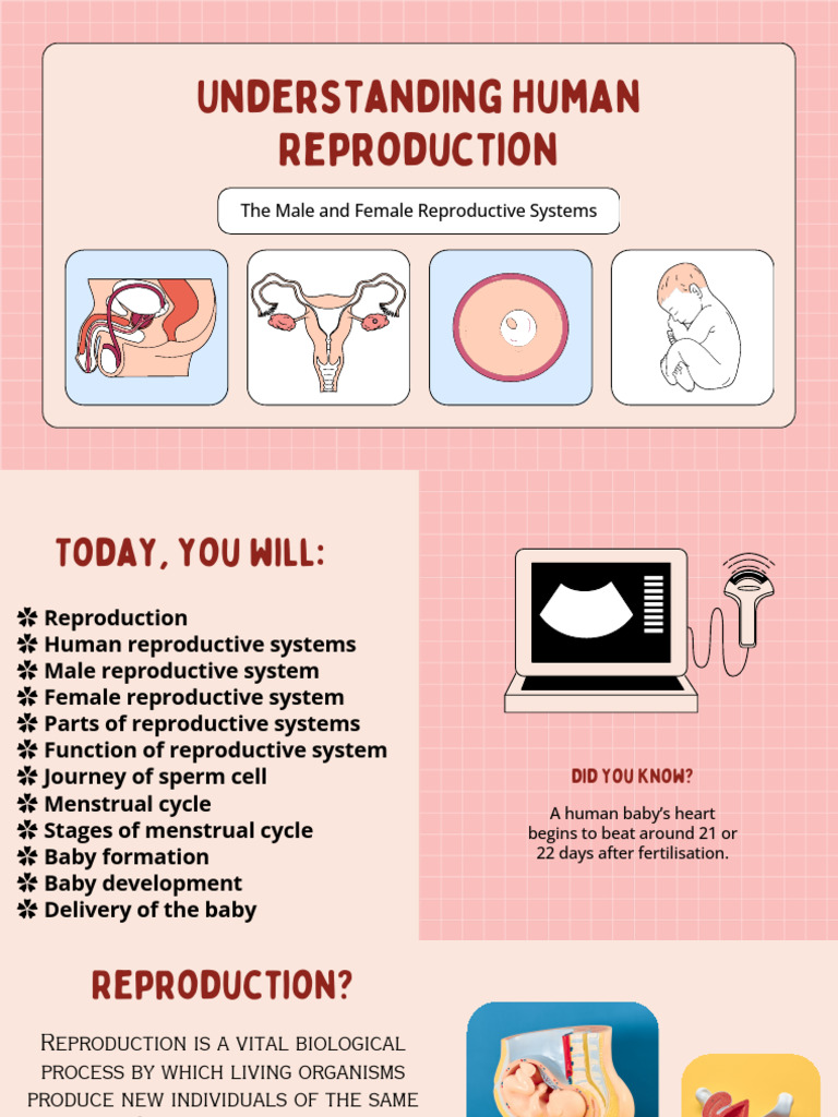 Reproduction Is A Vital Biological Process by Which Living Organisms ...