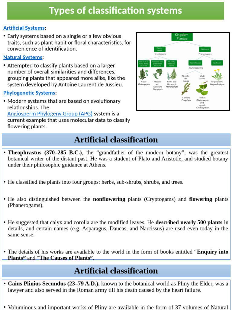 Overview of Plant Classification Systems | PDF | Flowers | Botany