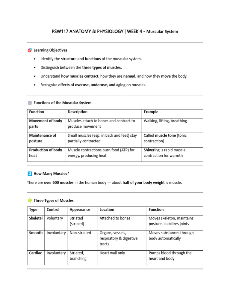 PSW117 WK3-Muscular System | PDF | Anatomical Terms Of Motion | Muscle ...