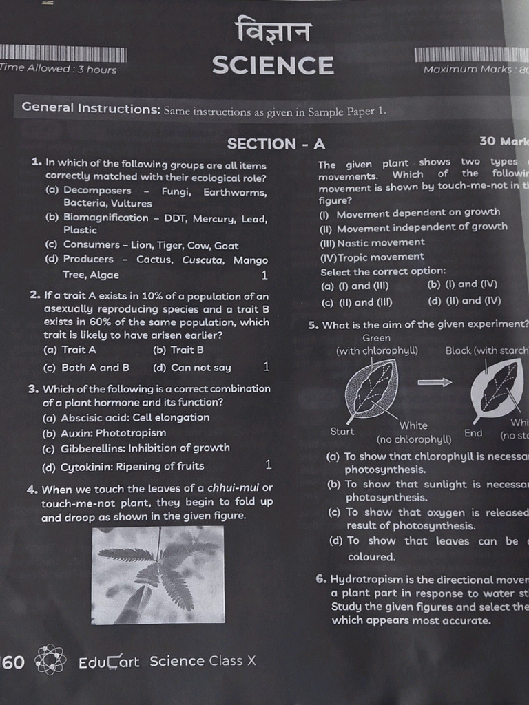 Question Paper | PDF